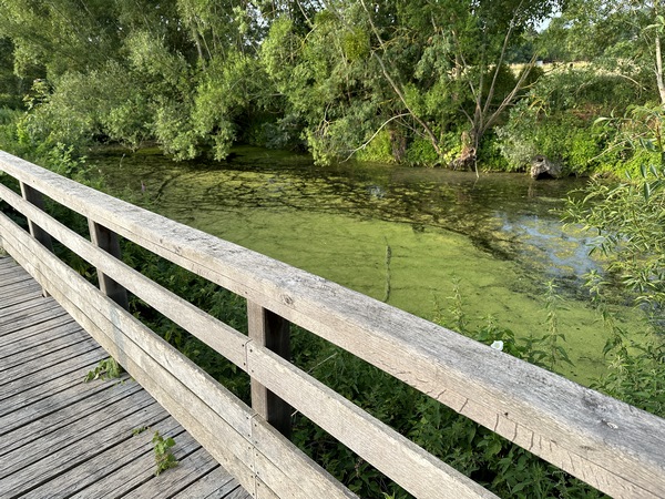 Les paysages sont somptueux dans cette zone humide préservée, et les aménagements créés par la ville de Saint-Aubin-lès-Elbeuf sont à la hauteur.