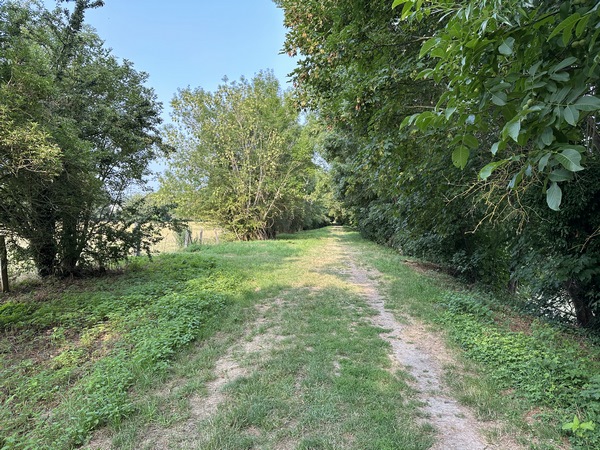 Le premier chemin est large, il dessert les près de l'île. Nous faisons le tour de l'île, mais la Seine n'est que rarement visible, cachée par la végétation qui protège la berge.