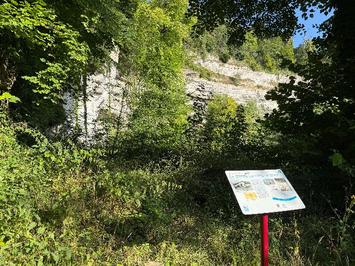 Le chemin longe une ancienne grande carrière de craie. Sous le chemin, un passage sous viaduc permettait d'évacuer la craie. (Panneau explicatif dans l'album de la rando)