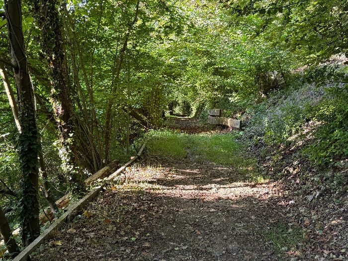 Grâce aux travaux de bénévoles et des services techniques de la ville, la rue des Champs a retrouvé sa largeur d'origine et a été sécurisée.