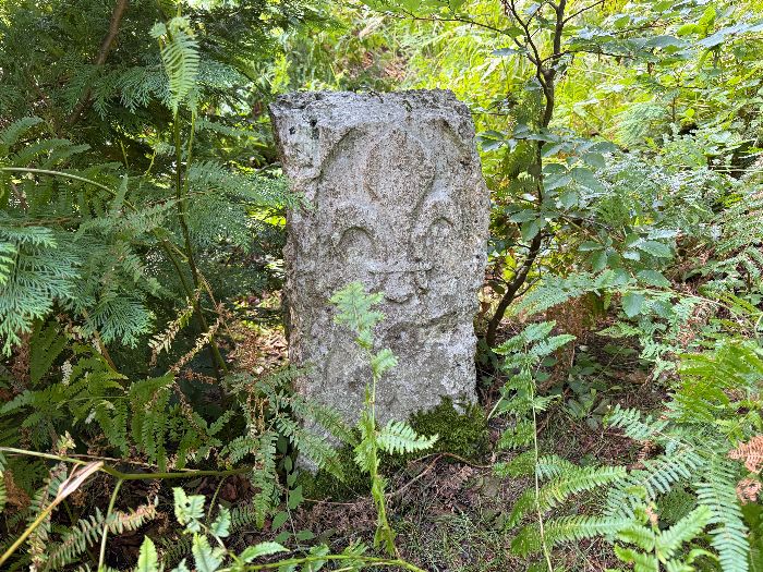 Près du fossé, se trouve cette borne de forêt royale. La fleur de lys gravée est restée bien visible.