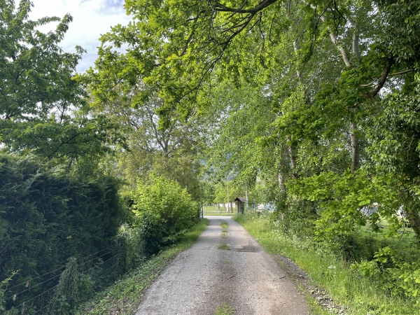 Nous rejoignons la route de Conihout que nous allons suivre sur 800 mètres avant de tourner vers le bord de Seine. Le Conihout, était aussi le nom du vin produit ici à l'époque du manoir de la Vigne.