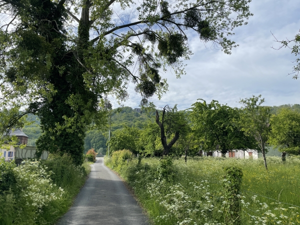 Nous suivons le chemin des Roches pour rejoindre le bord de Seine.
