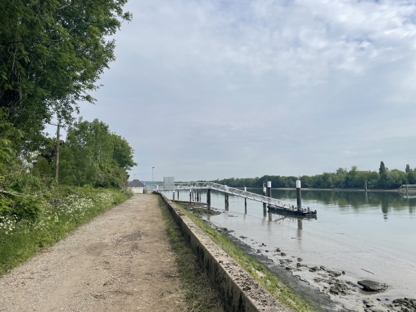 Nous arrivons au bac du Mesnil-sous-Jumièges, nous allons tourner à gauche pour rejoindre le centre du bourg.