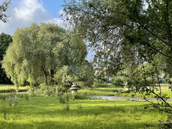 Etang du Lieu de Vauville.