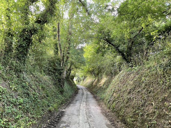 Impossible de marcher dans le Calvados sans bénéficier de chemins creux. Ce chemin monte vers le hameau du Hom, nous allons le quitter pour tourner vers Robehomme.
