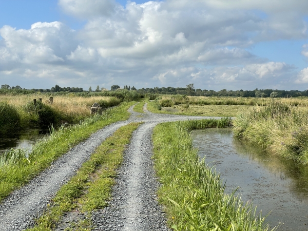 Nous allons quitter la Chaussée du Croc pour tourner à droite en direction de Roncheville.