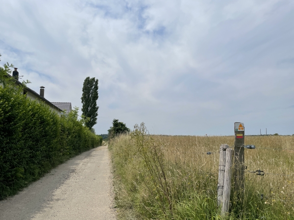 Nous quittons la rue des Jardins, pour suivre le chemin qui s'enfonce dans la plaine agricole. On voit sur le poteau une balise jaune et rouge du GRP Forêt de Haute-Normandie, et la balise VTT orange de notre circuit.