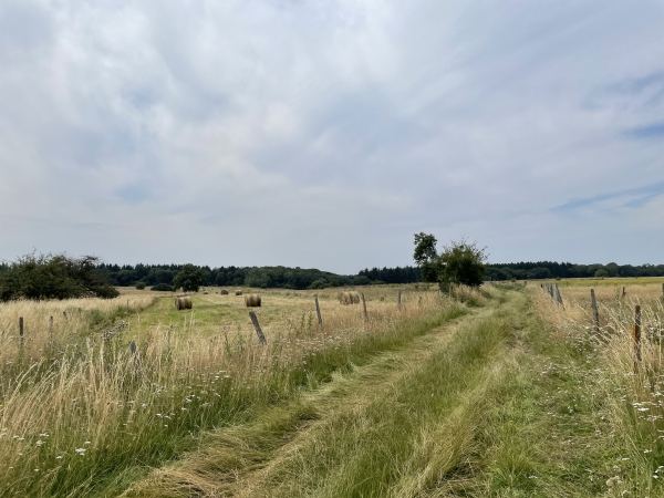 Nous retrouvons ici le genre de paysage que nous avions traversé au début du circuit.