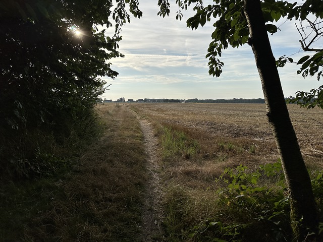 Nous sortons du bois de Morsent en direction du hameau des Bruyères.