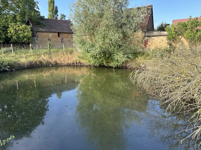 Et voici la seule mare vraiment visible de ce Circuit des Mares, la mare de Morsent.