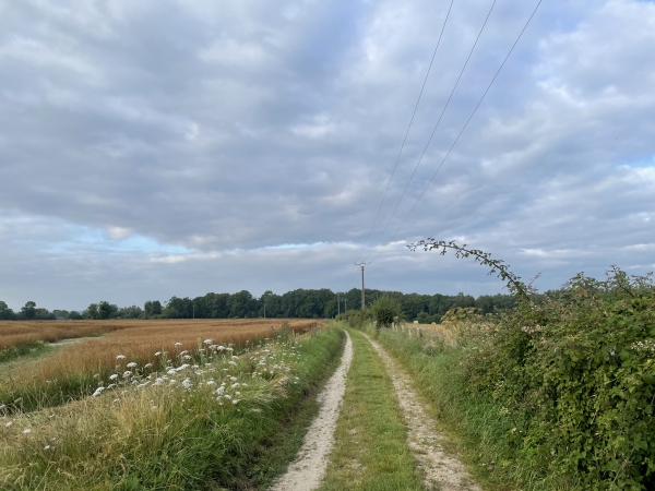 Nous suivons ce chemin en direction du bois de l'Equarissage.