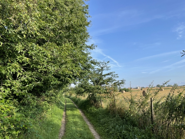 Depuis la sortie du bourg, les chemins se succèdent, entre bois et cultures.