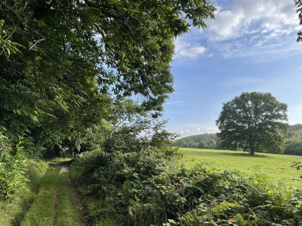 Nous sortons des bois sur le plateau qui domine Corneville-sur-Risle.