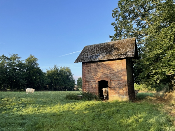 Une vache nous regarde passer depuis le pas de sa porte.