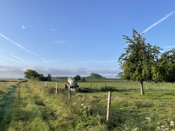 Les photos proviennent de deux groupes, d'où les différences de couleur du ciel.