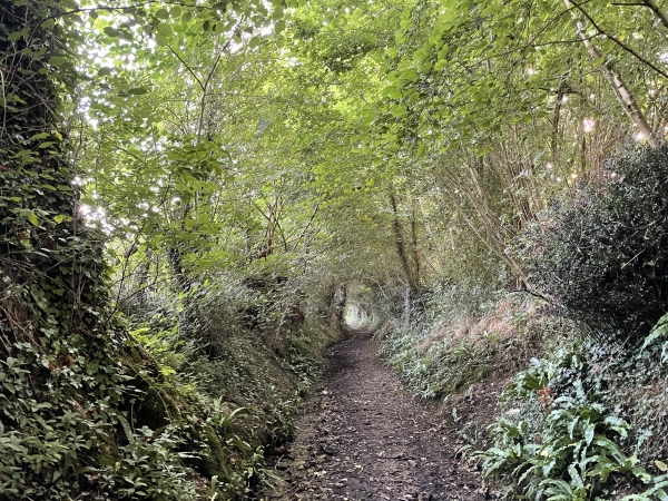 Nous voilà sur le chemin du Vieux d'O, un vrai chemin cette fois-ci.