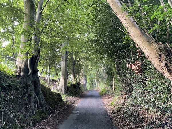 Après un bref passage à Honfleur, nous suivons le chemin des Monts. Toutes ces routes qui portent encore leur nom de chemin n'ont pas été décomptées comme chemins pour le calcul routes/chemins. Nous n'avons retenu que les chemins non revêtus, et ils sont peu nombreux sur ce circuit.