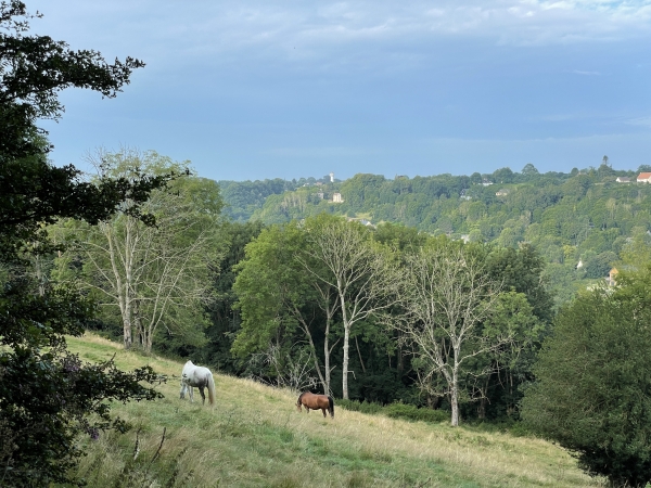 Vue sur la vallée de la Claire, depuis le coteau est cette fois-ci.