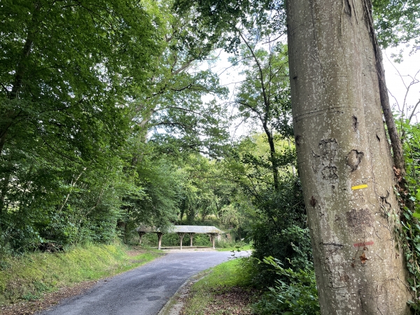 Nous redescendons dans la vallée de la Claire, en retrouvant le circuit officiel et le GR223. Nous allons longer l'ancien lavoir pour traverser la rivière.
