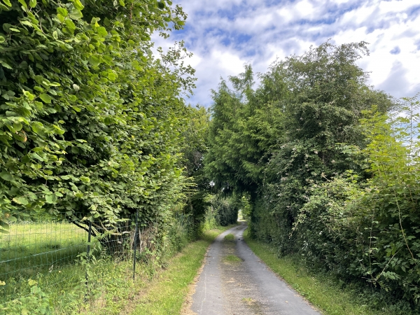 Au sommet, nous retrouvons le chemin des Noisettes que nous allons suivre jusqu'au centre du bourg.