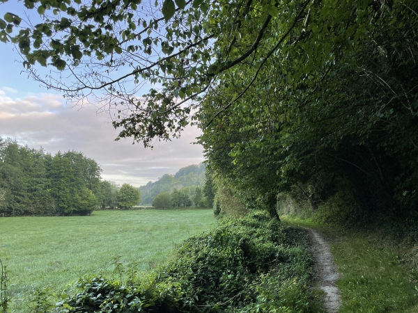 Notre chemin avance au-dessus du Ruisseau du Val Jouen, en bordure du Bois des Coutures.