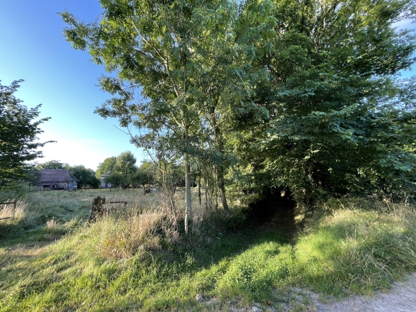 Nous tournons ici pour suivre le chemin couvert et descendre dans le Bois des Coutures.