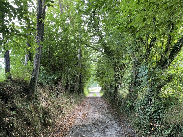 Nous sortons du chemin à quelques pas de notre point de départ à Triqueville.