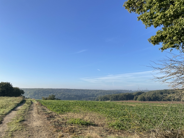 Nous descendons la Côte Blanche en direction du vallon d'un ancien affluent de l'Eure.