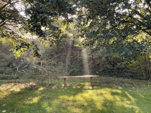 Le ciel, charitable, nous désigne un banc près du chemin, mais il est encore trop tôt pour une pose.