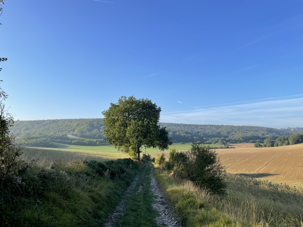 Nous dominons le vallon et marchons vers la forêt en face de nous.
