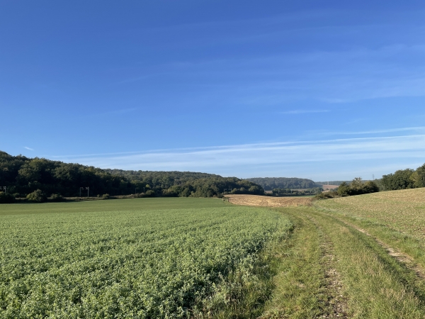Arrivés au fond du vallon, nous suivons le chemin qui va nous permettre de passer sous la ligne Mantes-la-Jolie - Cherbourg.
