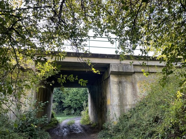 Voilà le passage sous la voie ferrée. Nous allons ensuite tourner immédiatement à gauche en quittant le chemin principal pour monter en forêt.