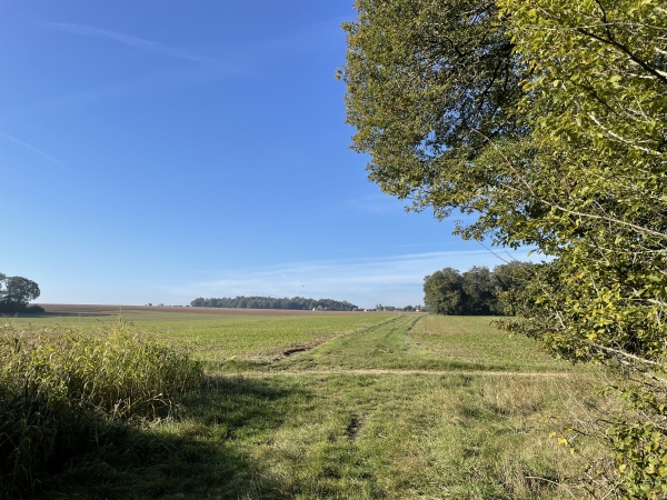 Nous sommes arrivés sur le plateau. A ce carrefour de chemins, nous allons tourner à gauche et traverser la plaine agricole pour contourner le Haut Boisset.
