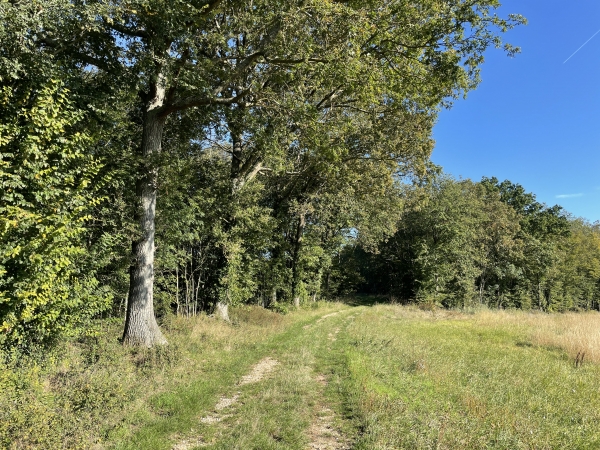 Nous sommes sur le territoire du Cormier, et nous reconnaissons des chemins et des paysages de la sympathique randonnée faite au départ de ce village.