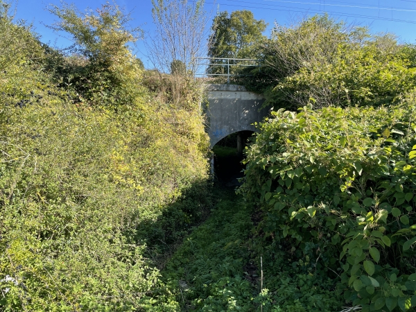 Dernière traversée de la voie ferrée. Il ne faut pas rater ce discret passage pour piétons : en effet, l'ancien passage à niveau de la rue de la Gare, à proximité, est désormais fermé et clôturé.