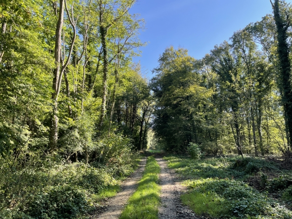 Nous remontons sur le plateau en direction du Plessis-Hébert.