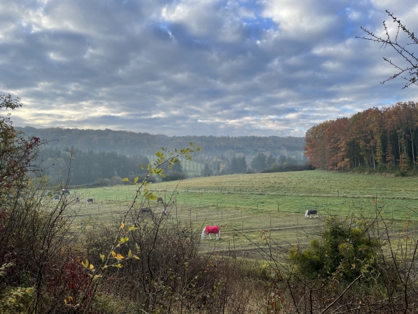 Nous montons sur le coteau nord de l'Oison à la Côte Blanche. Regard arrière sur la vallée.