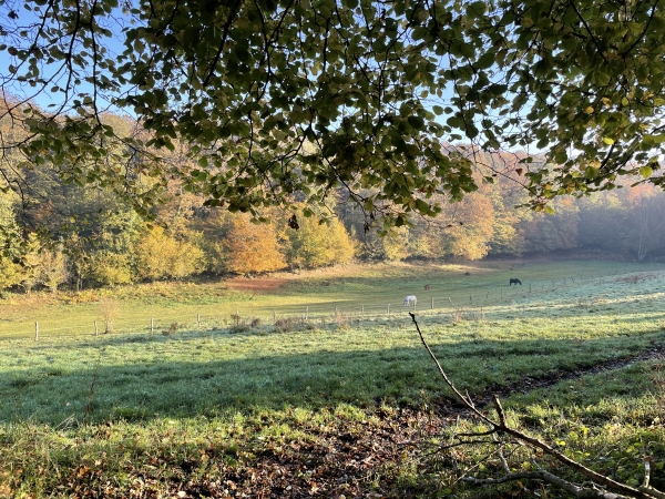 Nous redescendons un peu au niveau de la Vallée Nerval, aux pieds de la Saussaye.
