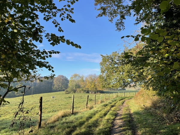 Nous suivons le chemin qui tourne vers l'est avant le bourg de la Saussaye.
