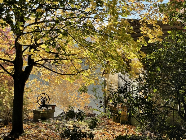 Cadeau de l'automne, au lieu-dit La Fermanière.