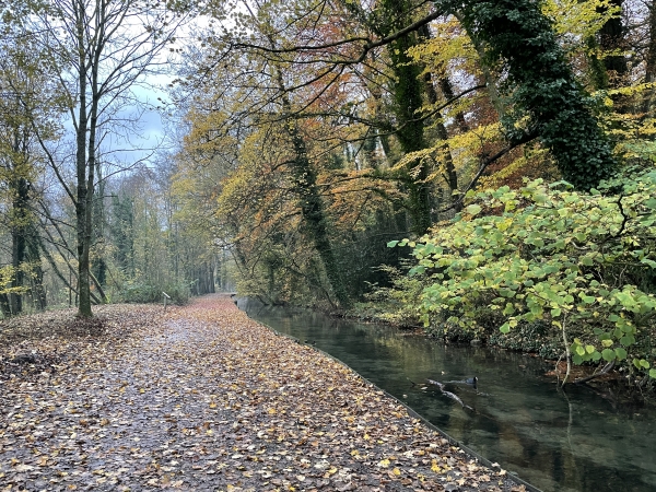 Nous partons du parking de la mairie, place du docteur Gréverie, et nous suivons la promenade du Vivier, le long de la rivière Valmont. A noter, il y a aussi un parking à l'entrée de la promenade du Vivier.