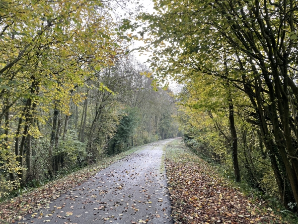 L'ancienne voie ferrée est désormais une voie verte : la Véloroute du Lin.