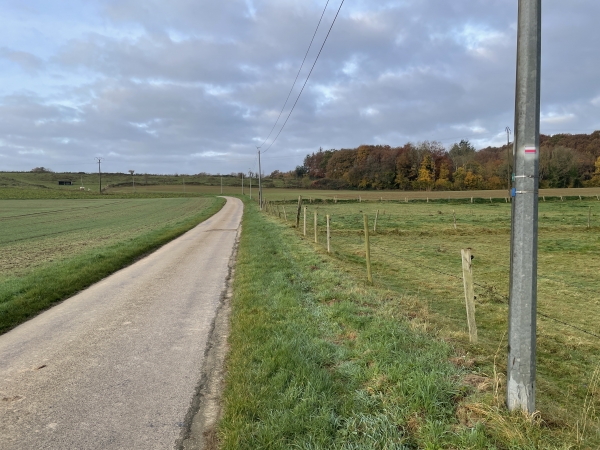 Nous montons sur le plateau en suivant la route vers Thiétreville. Nous serons désormais sur des routes, et dans des paysages agricoles.