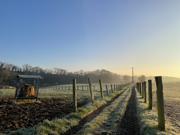 Le soleil se lève et baigne maintenant les paysages d'une belle couleur mordorée.