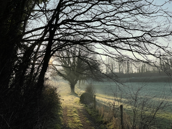 Nous montons maintenant vers le lieu-dit La Pastourelle.