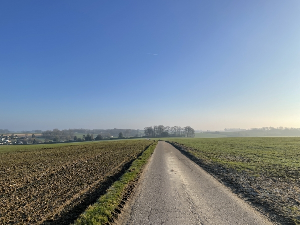 Nous sommes sur la route du Neufbourg. Nous allons bientôt la quitter pour suivre à gauche la route des Jonc-Marins.