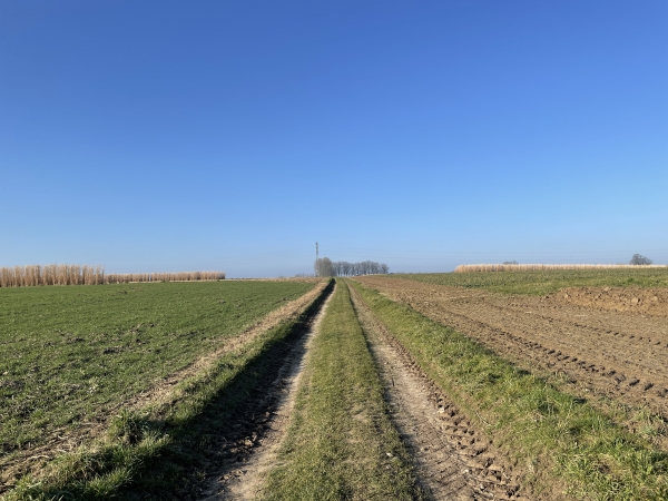 Nous sommes dans la plaine du Moulin Aven, ça ne s'invente pas, en direction de la D68.