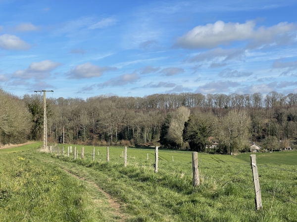 Nous descendons vers la route d'Hermeville.