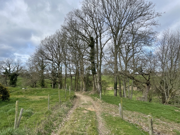 Nous tournons vers Ecuquetot, que nous allons traverser pour revenir vers Turretot.